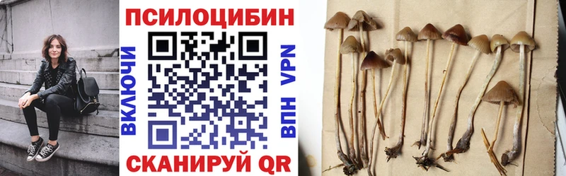 Псилоцибиновые грибы Psilocybe  Дрезна 